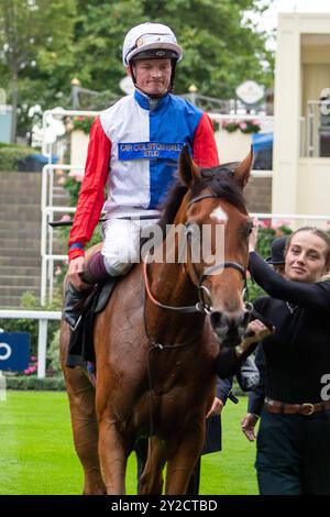 Fair Point ridden by Rob Hornby coming home to finish second during the ...