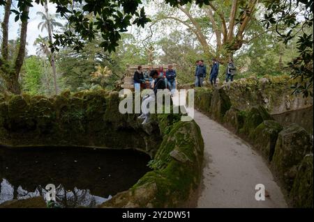 Visitors relax and explore the scenic moss-covered pathways amidst lush greenery in the Quinta da Regaleira Stock Photo