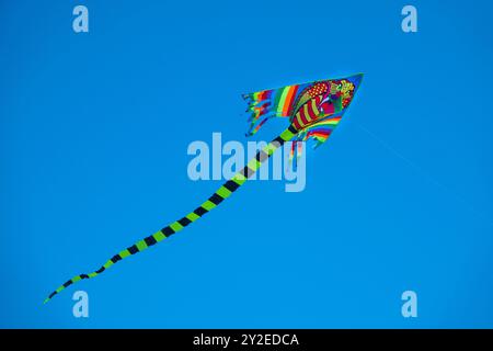 Rainbow Kite Flying in a Clear Blue Sky Stock Photo
