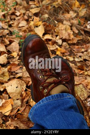 Autumn. A male walker, wearing well-worn, leather hiking boots and blue jeans takes a rest. Boots surrounded by golden, fallen autumn leaves. Stock Photo