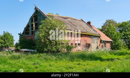 An abandoned and dilapidated farm house with red bricks and broken glass on a neglected terrain with tall grass. Concept of rural depopulation. Stock Photo