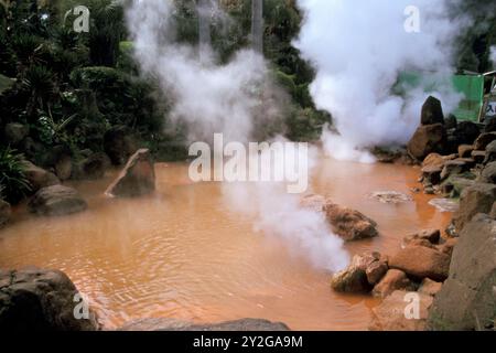 Japan. Surrounding of Tokyo Stock Photo