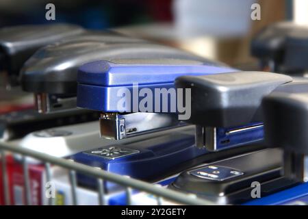 Staplers in different colors and sizes. School supplies, stationery accessories. Colorful stationery. Goods for office and study. Stock Photo