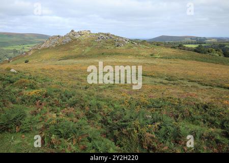 Late summer/early autumn view of Honeybag tor near Widecombe, Dartmoor, Devon, England, UK Stock Photo