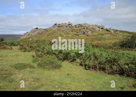 Late summer/early autumn view of Honeybag tor near Widecombe, Dartmoor, Devon, England, UK Stock Photo