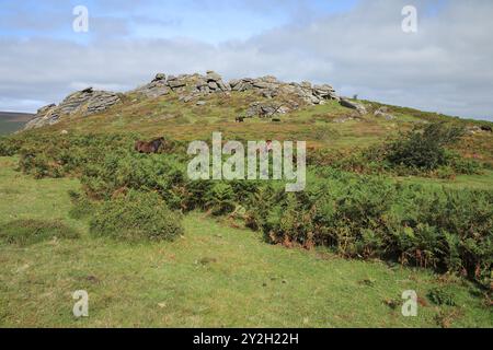 Late summer/early autumn view of Honeybag tor near Widecombe, Dartmoor, Devon, England, UK Stock Photo