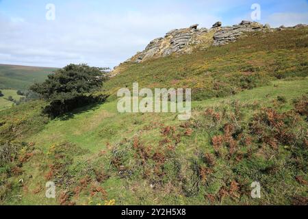 Late summer/early autumn view of Honeybag tor near Widecombe, Dartmoor, Devon, England, UK Stock Photo