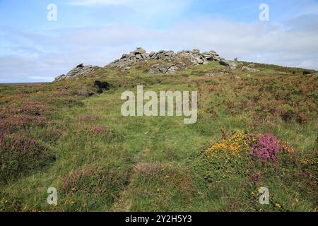 Late summer/early autumn view of Honeybag tor near Widecombe, Dartmoor, Devon, England, UK Stock Photo