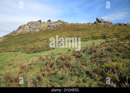 Late summer/early autumn view of Honeybag tor near Widecombe, Dartmoor, Devon, England, UK Stock Photo