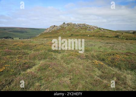 Late summer/early autumn view of Honeybag tor near Widecombe, Dartmoor, Devon, England, UK Stock Photo