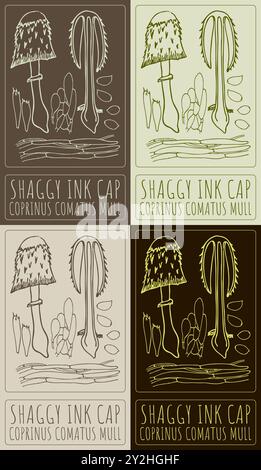 Set of vector drawing SHAGGY INK CAP in various colors. Hand drawn illustration. Latin name is COPRINUS COMATUS MULL. Stock Vector