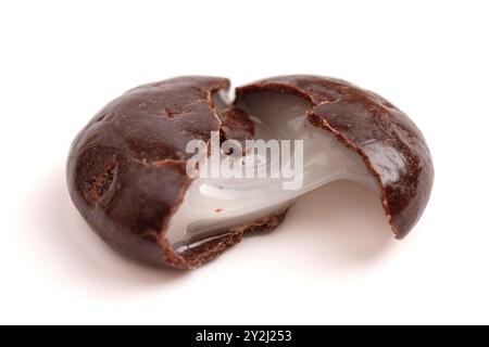 Chocolate Covered Cream Filled Mint Candies Isolated on White Background Stock Photo