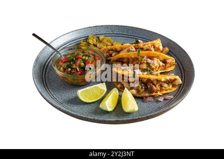 Delicious tacos filled with chicken meat served on a plate. Isolated on white background. Full depth of field. Stock Photo