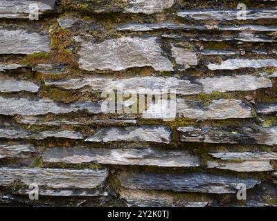 Rustic stone wall with lichen background. Stock Photo