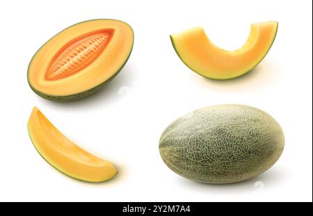 Whole, half and slice of ripe juicy sweet melon fruit with green textured rind and orange pulp with seeds. Realistic 3d vector illustration set of honeydew cantaloupe. Natural tropical dessert. Stock Vector