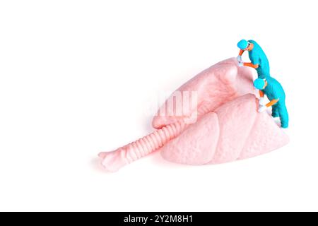 Miniature figures performing surgery on a pink lung model, representing health care and medical research. Stock Photo