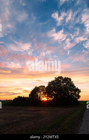 Beautifully colored cloudy sky as the sun sets behind a group of trees in the Dutch landscape Stock Photo