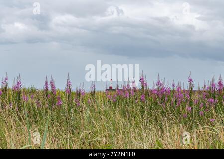 Harbour Entrance Light Tower, Berwick-Upon-Tweed Stock Photo