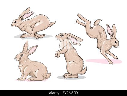collection of hand drawn Cute Rabbit Illustration, Hand drawn Style, isolated Vector Stock Vector