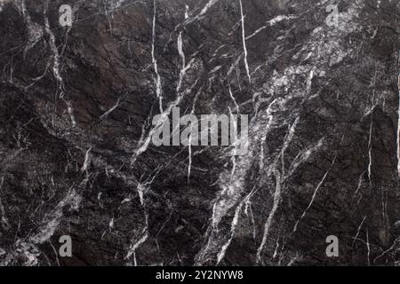 Dark Black Marble with Contrasting White Veins: Luxury Stone Design Stock Photo