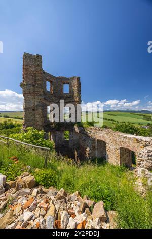 Ruins of Plavec castle near Stara Lubovna, Presov region, Slovakia Stock Photo