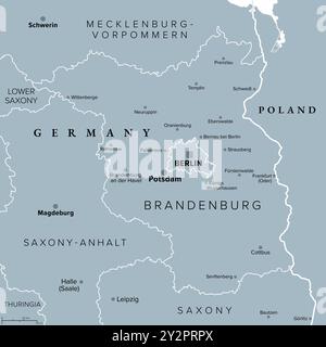 Brandenburg, a state in northeastern Germany, gray political map with capital and largest city Potsdam, borders and largest cities. Stock Photo