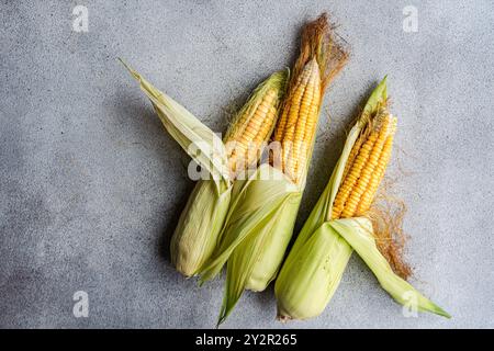 Three fresh corn cobs with husks partially peeled back, resting on a textured surface The vibrant yellow kernels and green husks stand out, showcasing Stock Photo