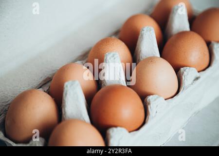 A dozen fresh brown eggs nestled securely in a gray cardboard egg carton, set against a soft white backdrop, highlighting their natural color and simp Stock Photo
