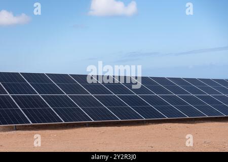 Extensive array of solar panels installed in a dry, open landscape, harnessing the sun's power for renewable energy generation Stock Photo