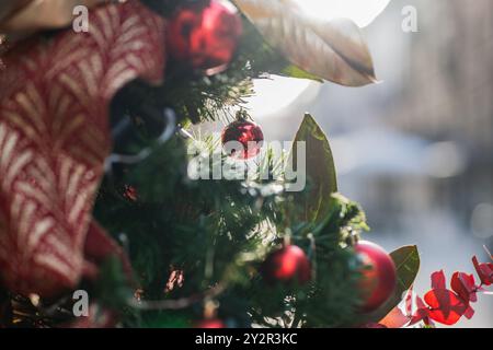 Close-up image showcasing the intricate decorations on a Christmas tree, highlighted with sunlight Festive red baubles and lush green branches dazzle Stock Photo