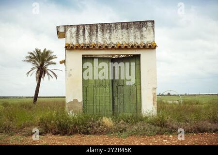A quaint, weathered white shed with faded green doors stands alongside a solitary palm tree, set against a backdrop of wide open fields under a cloudy Stock Photo