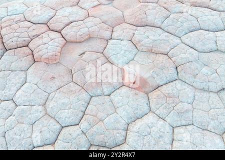 Aerial drone view of the natural abstract patterns on the stone surface at White Pocket, located in the Paria Canyon-Vermilion Cliffs Wilderness Area Stock Photo