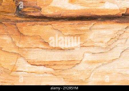 Intricate patterns and texture of a petrified wood log from Gingko Petrified Forest State Park, highlighting nature's artistry in Vantage, Washington. Stock Photo