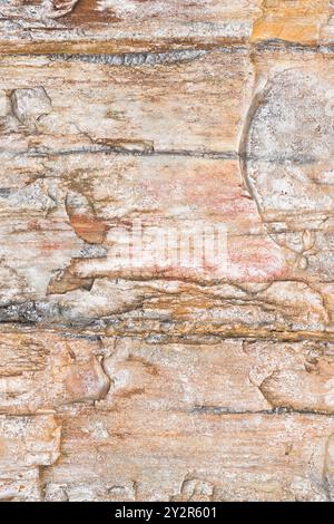 Detailed image showcasing the intricacies of petrified wood from Gingko Petrified Forest State Park in Vantage, Washington, highlighting natural patte Stock Photo