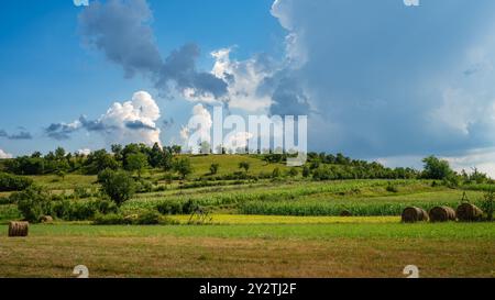 Beautiful green farmland with moody clouds. Stock Photo