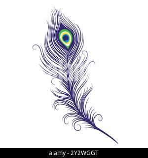 Peacock feathers on a white background. Vector Illustration Stock Vector