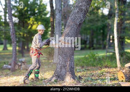 Tree trimmer using chainsaw and gear to cut down large oak tree. Stock Photo