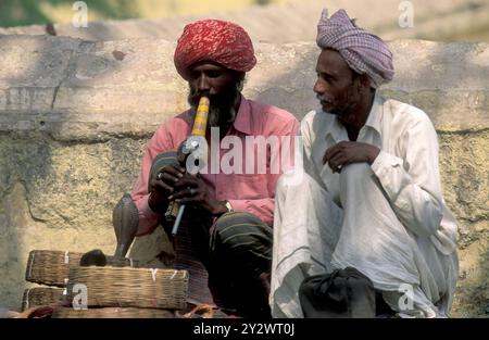 a indian Snake charmers at a market street in the City of Jaisalmer in the Province of Rajasthan in India.  India, Jaipur, January, 1998 Stock Photo