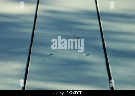 green painted wood boards Stock Photo