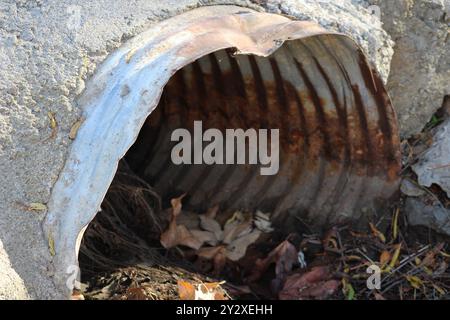 rusted pipe underground with opening filled with leaves Stock Photo