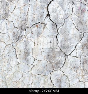 abstract line pattern on white painted part of conrete with cracks Stock Photo