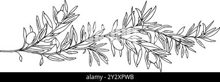 Olive Branch with Olives isolated on a background. Hand drawn Graphic illustration, Line art. Black and White Ink drawing for cards, invitations Stock Vector