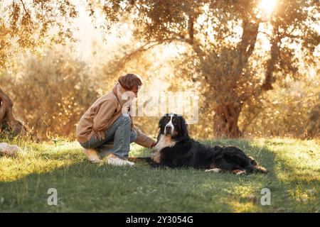 A woman sits beside her Bernese Mountain Dog under a tree, enjoying the peaceful outdoor setting. Stock Photo