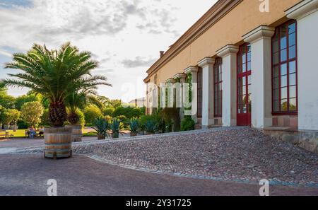 Linneanum Orangery at Uppsala University Botanical Garden, showcasing Neoclassical architecture with colonnades and palm trees, in Uppsala, Sweden. Stock Photo