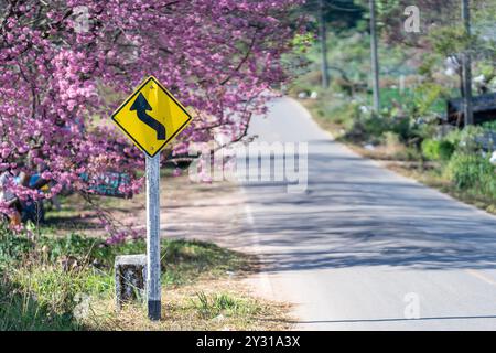 Travel warning signs are placed on the side of the road among suburban trees, such as Wild Himalayan Cherry, when Sakura trees are in full pink bloom Stock Photo