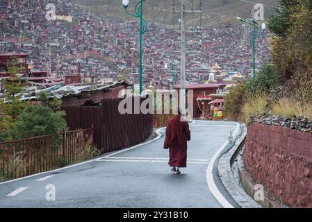 A Buddhist nun walking on the road of Larung Gar Buddhist Academy , in Serta County, Garze Tibetan Autonomous Prefecture, Sichuan , China. Stock Photo