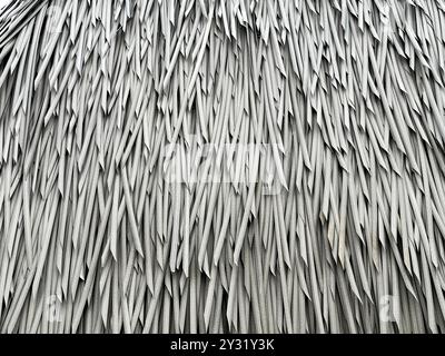 Close up of thatch roof with straws of thatch, used mostly in rural tribe house and traditional houses in tropical countries. Seamless thatch texture. Stock Photo