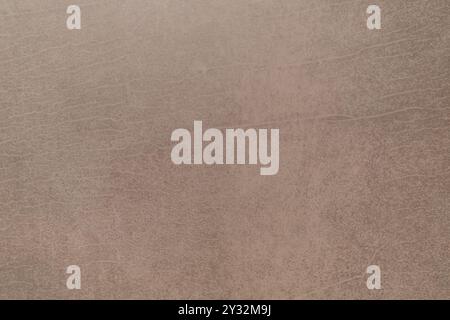 A textured surface with subtle lines and organic patterns, resembling aged leather or stone. Background Stock Photo