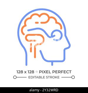 Brain processing two color line icon Stock Vector