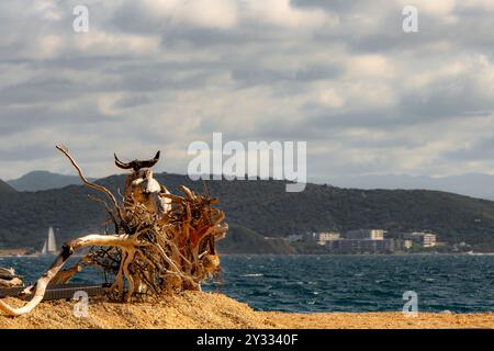 Noumea from the Duck Island New Caledonia Stock Photo